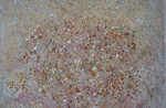 LONDON 2012          CAPE TOWN ROSE 100X80CM.jpg