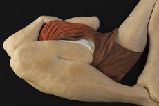 Relief Study Andrew Lying Down 2012 0229.jpg