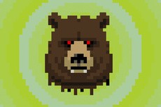 Decapitated Bear Head Is Watching You