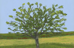 NEW TREE.jpg