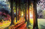 avenue of trees. large.jpeg