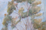 LRes.oilonboard.Ardno Hereford Gum Trees.jpg