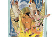 Fujiyama Fairies / Peter Quinnell