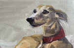  Whippet / Andrea Lippett