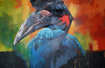 Abyssinian Hornbill.jpg