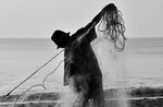 S_W30_Fisherman_s Entangled Net - DIPANKAR DAS - India.jpg