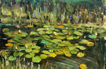 Water Lilies JPEG.jpeg