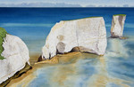 1. Studland 2b 300.jpg