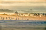 M_W50_January morning at the foot of the Bugle - Jean-Marie Henrotte - Belgium.jpg