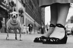 New York City, 1946 © Elliott Erwitt image courtesy SOL . LDN.jpg