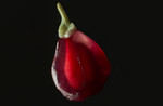 Pomegranate Seed.jpg