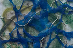 IMG_3972.jpeg