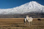 M_W50_Mountain of Legends_ Agri & Ararat -Canan Ağartan - Turkey .jpg