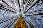 M_W50_Leading Lines - Gil Shmueli - Israel.jpg