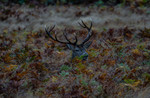 S_W30_Untitled - Davyd Samuels - United Kingdom.jpg