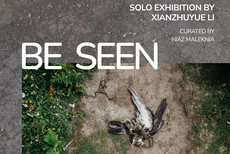  BE SEEN / Xianzhuyue Li