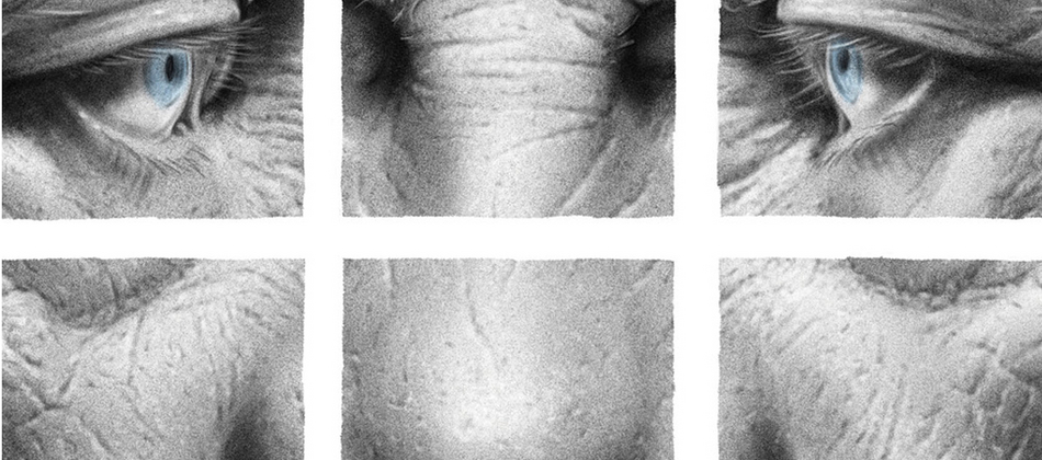 Nightmares and Daydreams: A.C. 2020 an exhibition by Mirko Ilić
