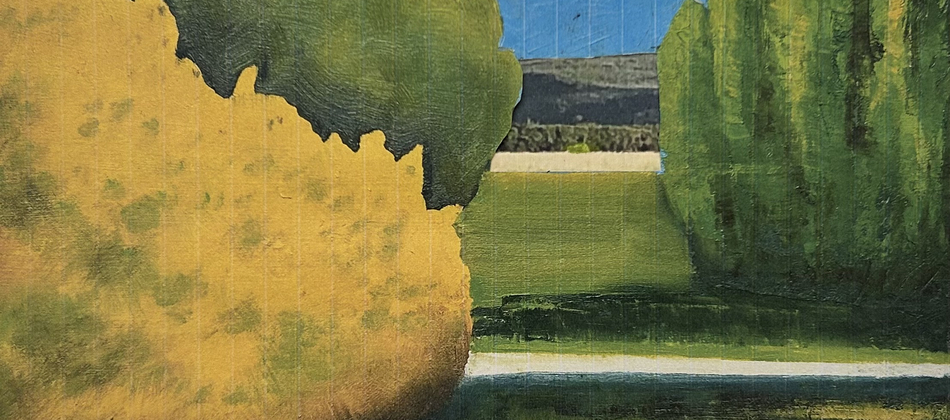 InSite / An exhibition by Martin Davidson, Julie Held & Jon Bird