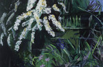 High Summer, 2024-2025, Acrylic on Canvas, 152.5 x 91.5 cm.jpg