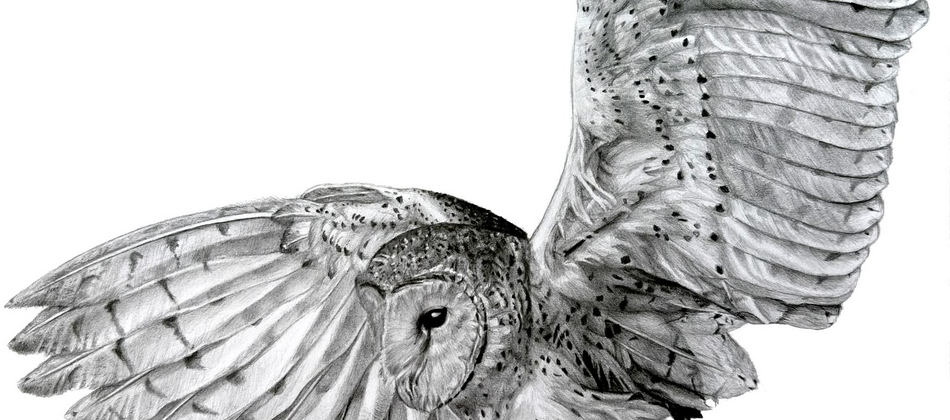 Art Pulse / Group Exhibition 