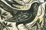 Mark Hearld 'Ballindalloch Blackbird'